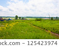 Summer landscape of Russian village. Power line with a leaning pole, road through meadow, houses 125423974