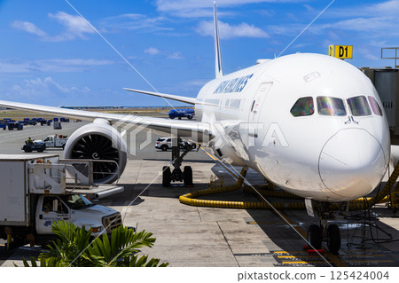 Hawaii Holidays Honolulu International Airport 125424004