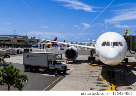 Hawaii Holidays Honolulu International Airport 125424005
