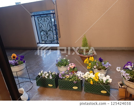 露台上的鮮花 125424038
