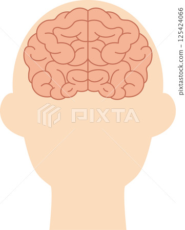 Simple illustration of a brain seen from the front 125424066
