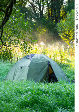Installed tourist tent in a camping in nature in the forest. Domestic tourism, active summer holidays, family adventures. Ecotourism, sport, hike. Copy space, mock up Installed tourist tent in a camping in nature in the forest. Domestic tourism, active summer holidays, family adventures. Ecotourism, sport, hike. Copy space, mock up 125424895