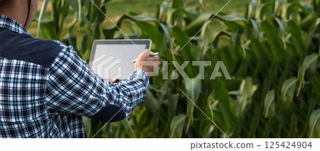 Modern agriculture concept. Man holding tablet in a green corn field, agro tech innovation with copy space, sustainable farming technology Modern agriculture concept. Man holding tablet in a green corn field, agro tech innovation with copy space, sustainable farming technology 125424904