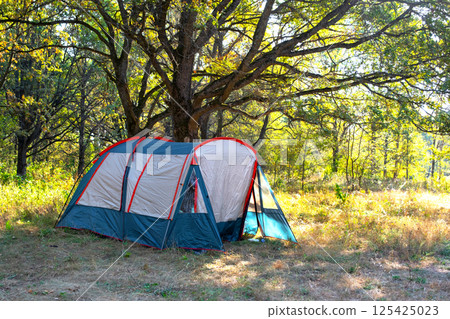 Installed tourist tent in a camping in nature in the forest. Domestic tourism, active summer holidays, family adventures. Ecotourism, sport, hike. Copy space, mock up Installed tourist tent in a camping in nature in the forest. Domestic tourism, active summer holidays, family adventures. Ecotourism, sport, hike. Copy space, mock up 125425023