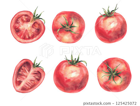 Red tomatoes vegetables watercolor set. Illustration isolated on white.Whole and half sliced ripe fruit with stalk. Hand drawn sketch in realistic style. Natural clipart. Farm plats for vegetarians 125425072