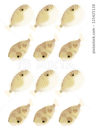 Cute porcupine fish pattern illustration Cute porcupine fish pattern illustration 125425138