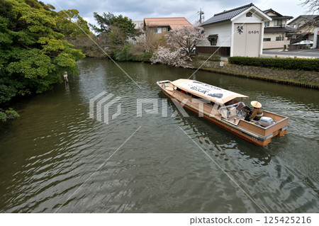 Matsue City - Matsue Castle Horikawa River Tour - Cherry Blossom Season Matsue City - Matsue Castle Horikawa River Tour - Cherry Blossom Season 125425216