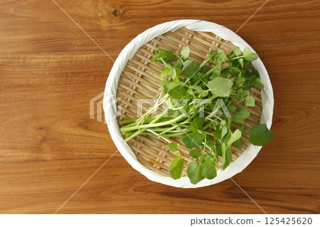 漏杓中西洋菜的鳥瞰圖 125425620