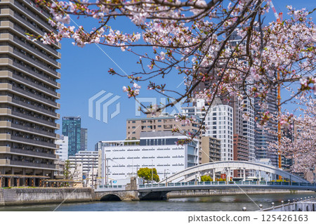 中之島散步道:盛開的櫻花樹和堂島橋 中之島散步道:盛開的櫻花樹和堂島橋 125426163