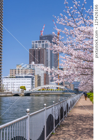 Nakanoshima Promenade: Cherry blossom trees in full bloom and Dojima Bridge 125426166