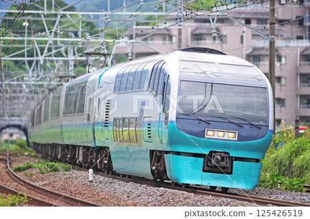 東海道本線萬鶴JR東日本系列251 RE-1編隊（大宮）Super View Dancer 125426519