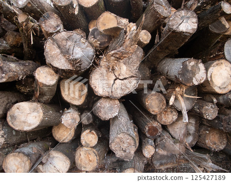 A closeup view of stacked logs that showcases the captivating wood textures and distinct grain patterns found in them A closeup view of stacked logs that showcases the captivating wood textures and distinct grain patterns found in them 125427189