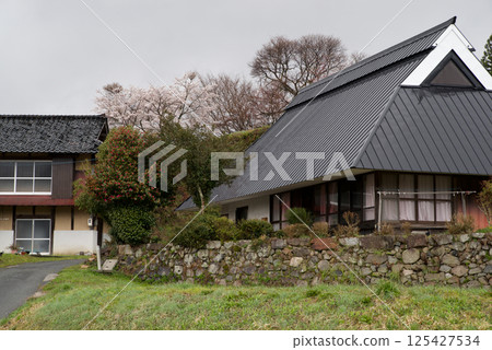 Satoyama Old House Stone Wall Cherry Blossoms 125427534