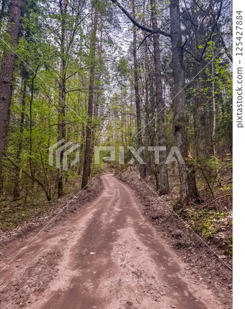 Curved dirt path through lush green forest trees in springtime nature landscape. High quality photo Curved dirt path through lush green forest trees in springtime nature landscape. High quality photo 125427884