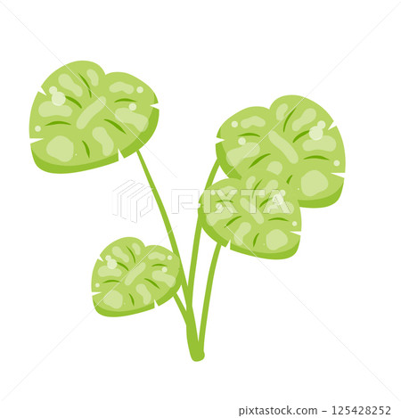 Indoor plant illustration in flat style. Simple green leaves with light texture and minimal design. 125428252