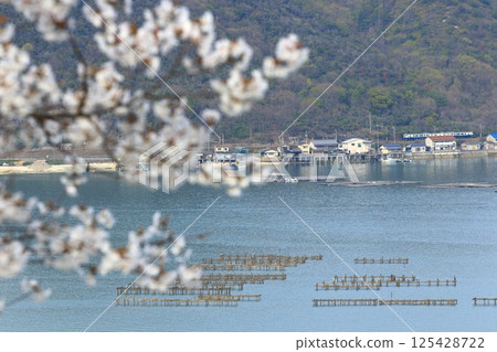A sightseeing train running along the Seto Inland Sea in spring 125428722