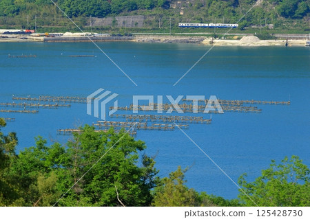 沿著平靜的瀨戶內海行駛的觀光列車 125428730