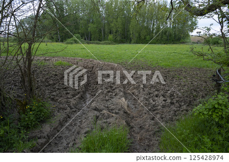 Rainwater creates visible tire tracks at the entrance of an agricultural field surrounded by lush 125428974