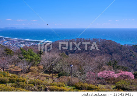 View of the east side from Komayama Park (Shonandai) in Hiratsuka City, Kanagawa Prefecture (Komayama Park, Oiso Town Higashimachi, Hanamizu River, Karagahara, Sagami Bay, etc.) View of the east side from Komayama Park (Shonandai) in Hiratsuka City, Kanagawa Prefecture (Komayama Park, Oiso Town Higashimachi, Hanamizu River, Karagahara, Sagami Bay, etc.) 125429433