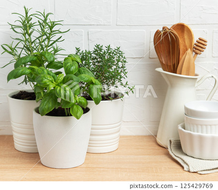 Fresh herbs growing in pots on kitchen countertop 125429769
