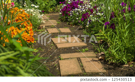 A flower path in a spring garden: a brick path and blooming flowers A flower path in a spring garden: a brick path and blooming flowers 125430513
