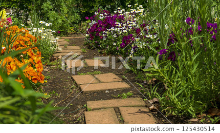 A flower path in a spring garden: a brick path and blooming flowers 125430514