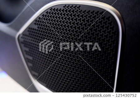 Sound speaker in a modern car door panel. Close up car speaker on car door panel Sound speaker in a modern car door panel. Close up car speaker on car door panel 125430752
