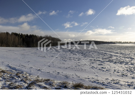 an agricultural field in winter, cloudy weather, landscape photography an agricultural field in winter, cloudy weather, landscape photography 125431032