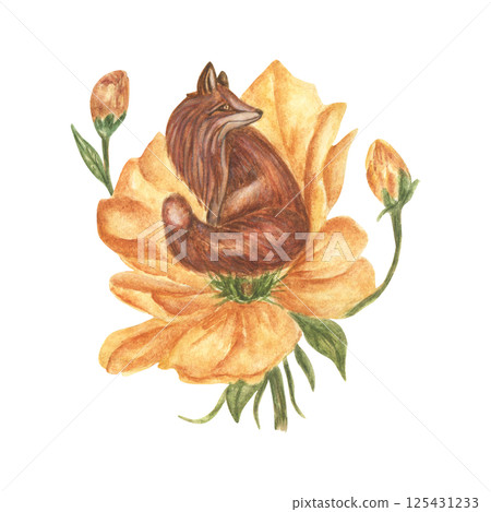 Watercolor illustration of a small fox sitting in a large yellow flower with buds. A fantastic hand-drawn image. A of vintage-style for stickers, tattoos and prints. Watercolor illustration of a small fox sitting in a large yellow flower with buds. A fantastic hand-drawn image. A of vintage-style for stickers, tattoos and prints. 125431233