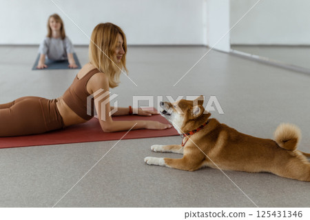 The dog practices yoga in the cobra pose in the studio. Young women meditating with pet 125431346