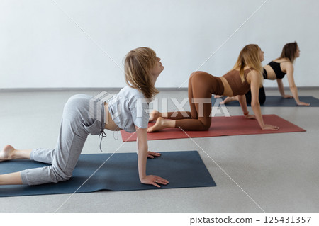 Group of athletic girls doing cat asana kneeling pose during group yoga course in fitness studio Group of athletic girls doing cat asana kneeling pose during group yoga course in fitness studio 125431357
