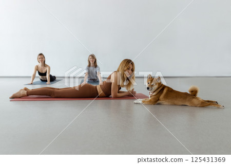 The dog practices yoga in the cobra pose in the studio. Young women meditating with pet 125431369