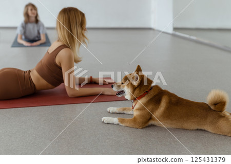 The dog practices yoga in the cobra pose in the studio. Young women meditating with pet 125431379