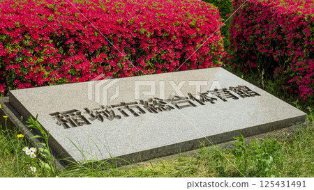 The Inagi City General Gymnasium sign surrounded by azaleas 125431491
