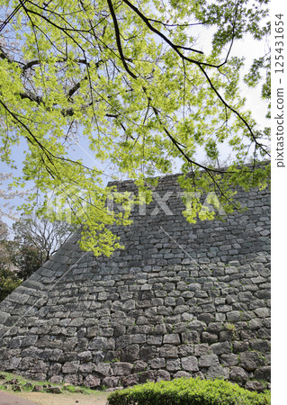 春季：丸龜城三之丸的高石牆和新鮮的綠地 125431654