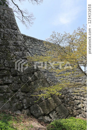 春季：從丸龜城的見返坂眺望三之丸的高石牆和新綠 125431658