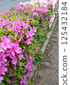 杜鵑花籬笆被雨水弄濕 125432184