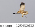 Western marsh harrier (Circus aeruginosus) gracefully carrying a twig in the clear sky above a serene landscape during daylight 125432632