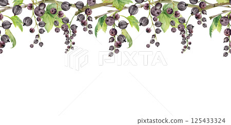 Currant gooseberry clusters with leaves on branch, ripe berry juneberry casseille jostaberry, hand drawn in watercolor. Isolated seamless banner border for dessert menu, eco farmers market, gardening 125433324