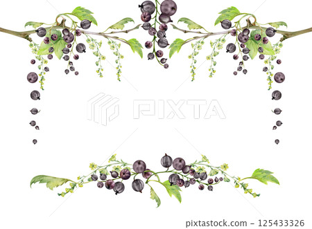 Currant gooseberry green leaves, long flower clusters, garden berry hanging on branches. Isolated corner frame hand drawn in watercolor. Craft cosmetics, dessert menu stationery, jam jar food labels 125433326