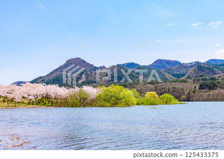 Spring at Shichikashuku Dam Park, Mt. Zao 125433375
