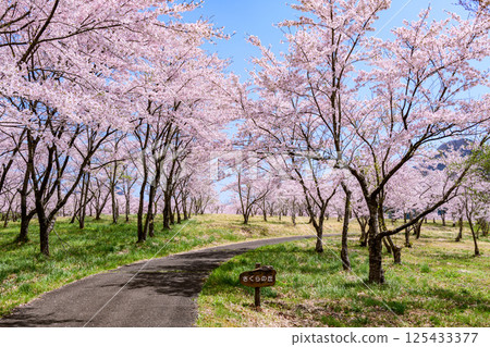 藏王山七宿水壩公園的春天 125433377