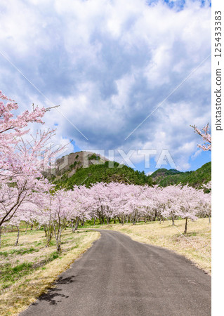 Spring at Shichikashuku Dam Park, Mt. Zao 125433383