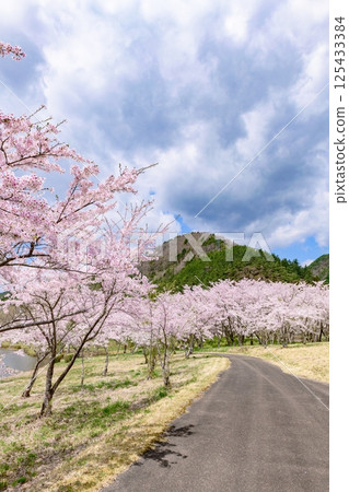 藏王山七宿水壩公園的春天 125433384