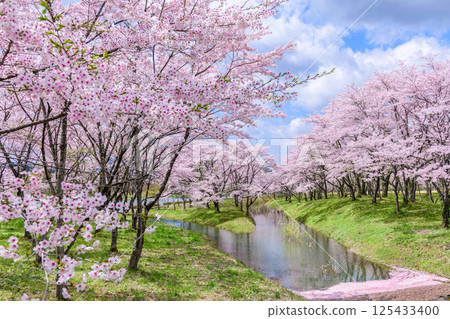 藏王山七宿水壩公園的春天 125433400