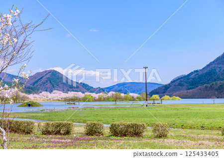 Spring at Shichikashuku Dam Park, Mt. Zao Spring at Shichikashuku Dam Park, Mt. Zao 125433405