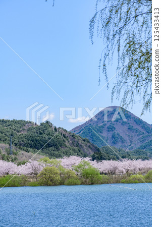 藏王山七宿水壩公園的春天 125433413