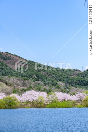 Spring at Shichikashuku Dam Park, Mt. Zao 125433415