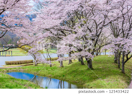 Spring at Shichikashuku Dam Park, Mt. Zao Spring at Shichikashuku Dam Park, Mt. Zao 125433422