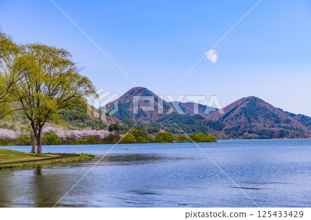 藏王山七宿水壩公園的春天 125433429
